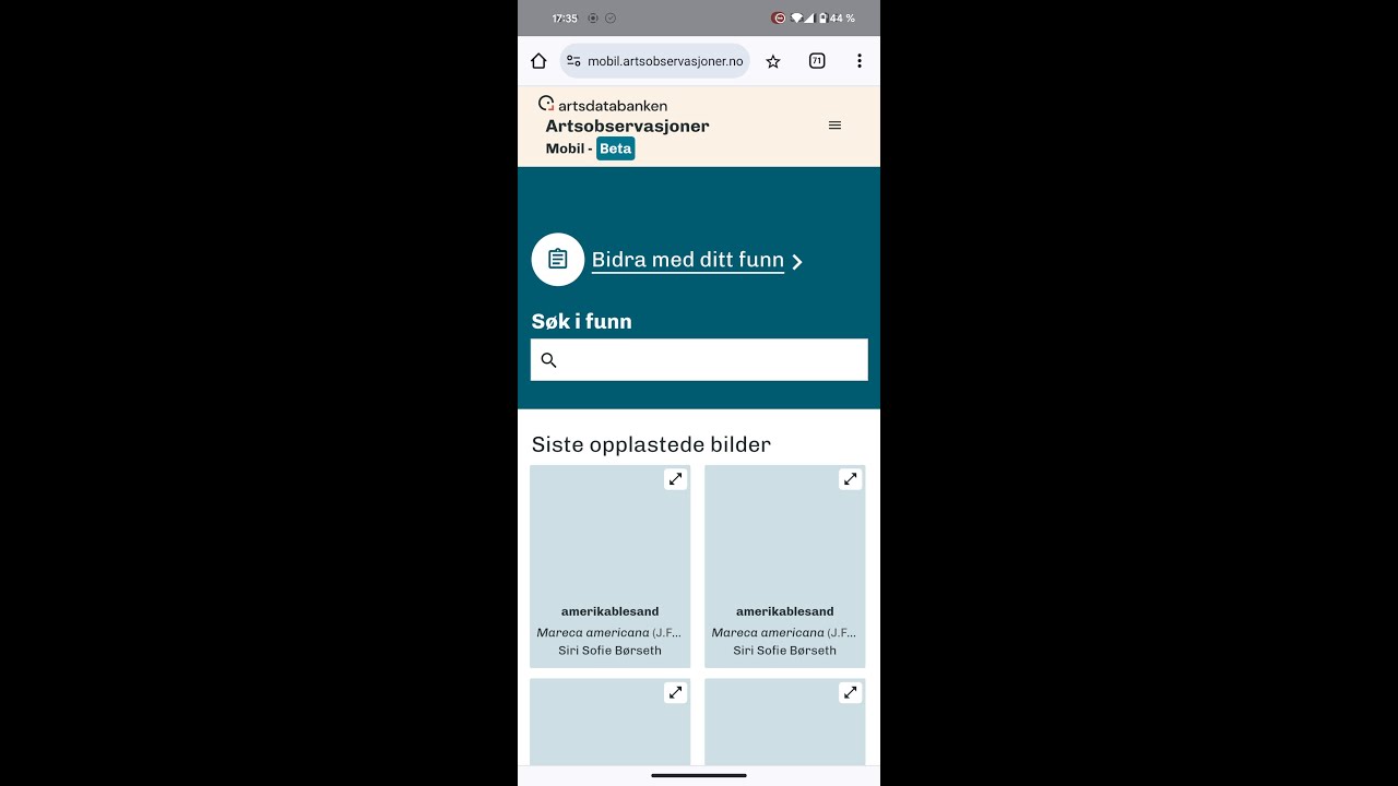 Hvordan registrere arter og prosjekt i mobilversjonen til artsobservasjoner.no