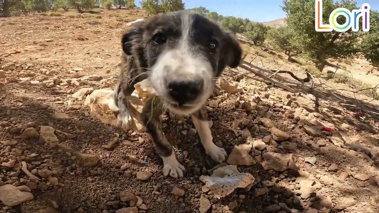 The Courageous Father: Nurturing Young Hearts Amidst Adversity