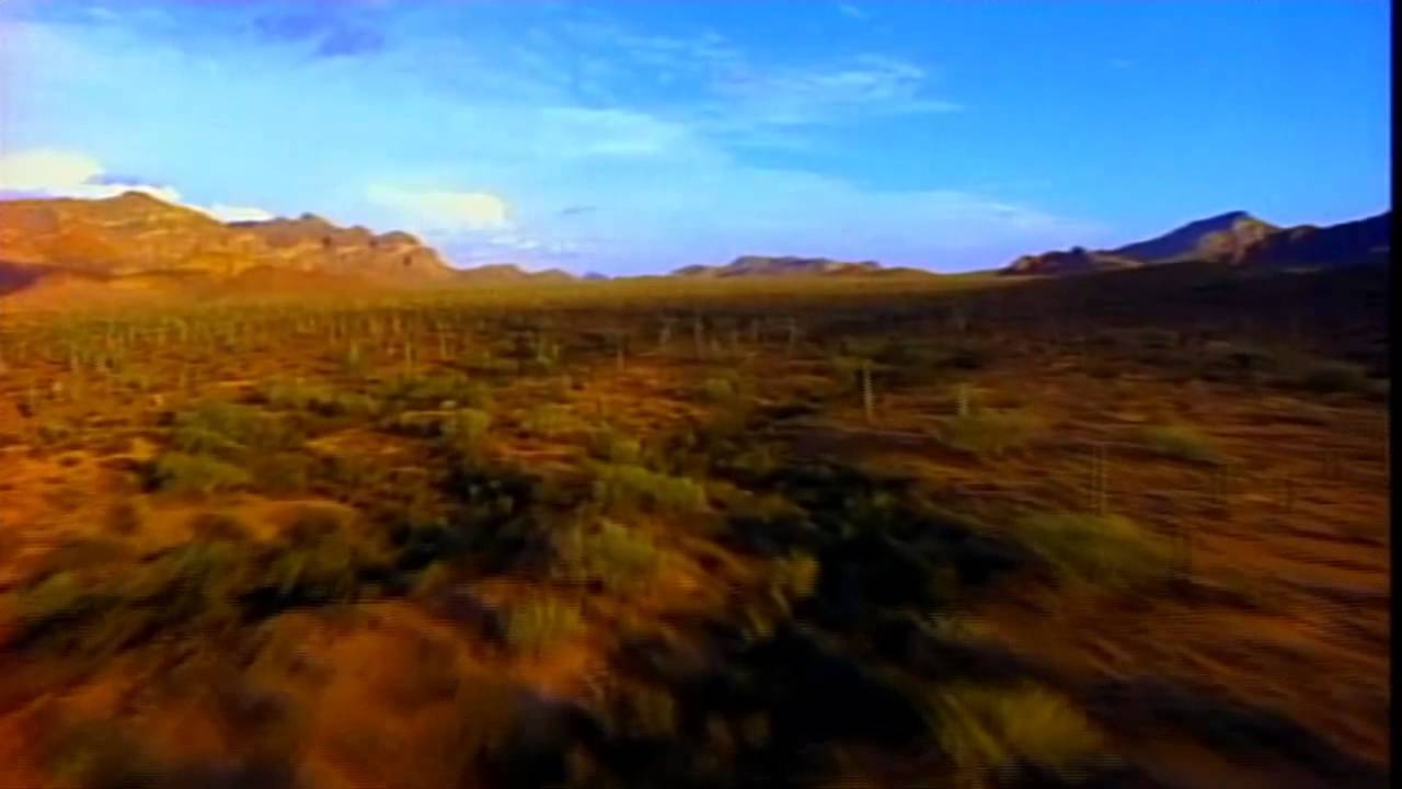 Viajero Triste y Solo Jim McClintock