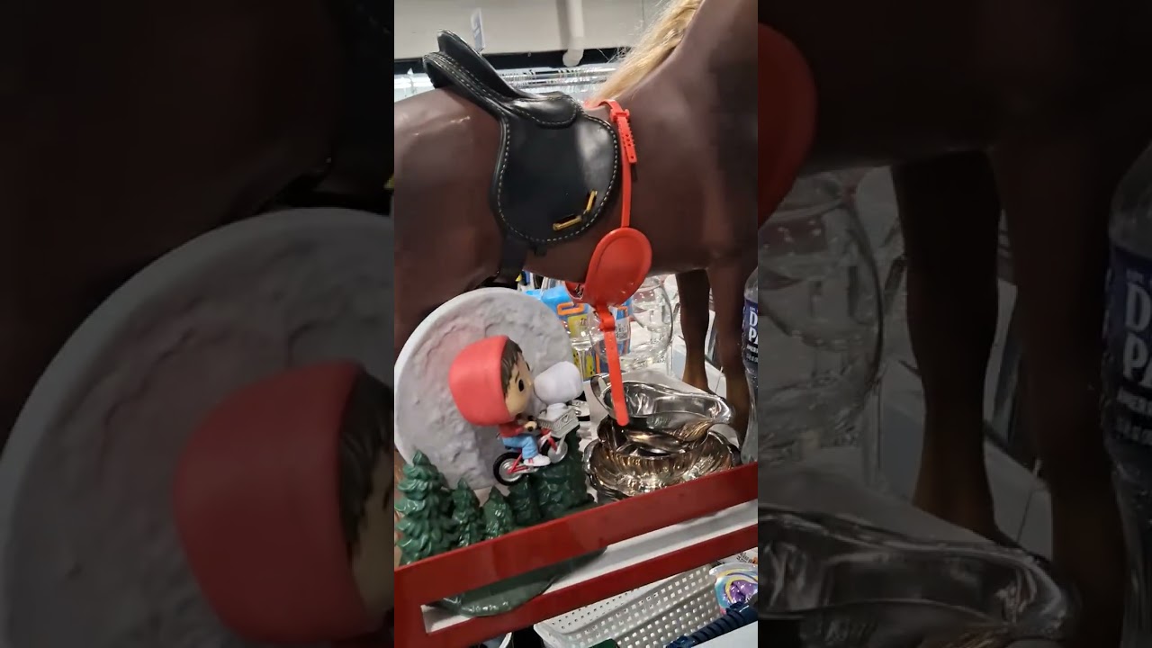 Приехали в дешевый секондхенд