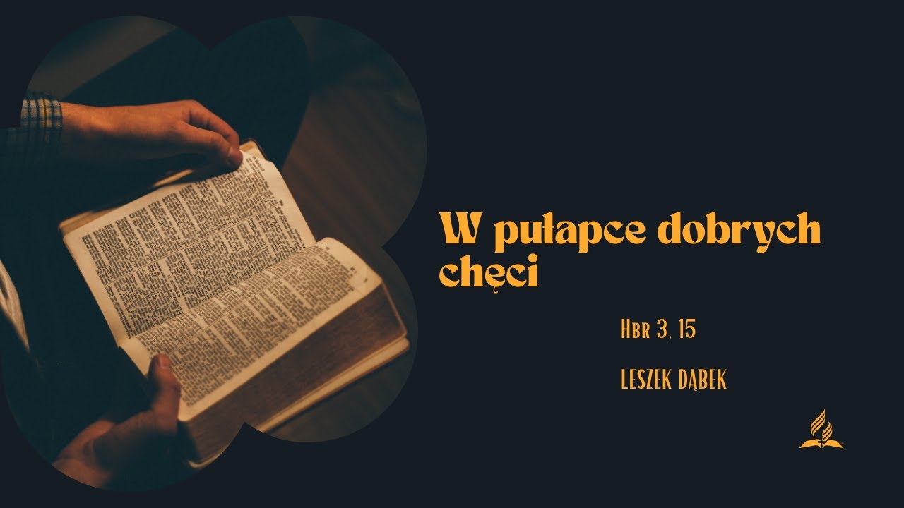 W pułapce dobrych chęci - Leszek Dąbek