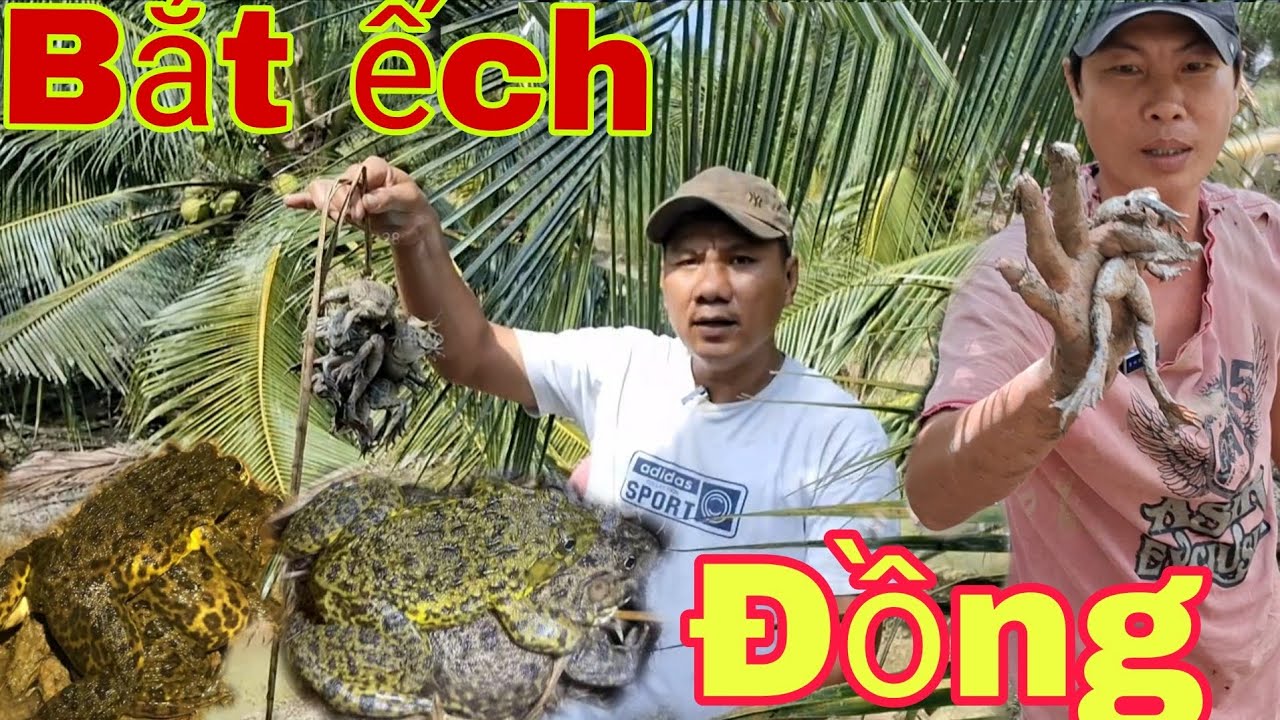 SĂN ẾCH THEO DẤU CHÂN.. trúng mánh đàng ếch khủng... 
