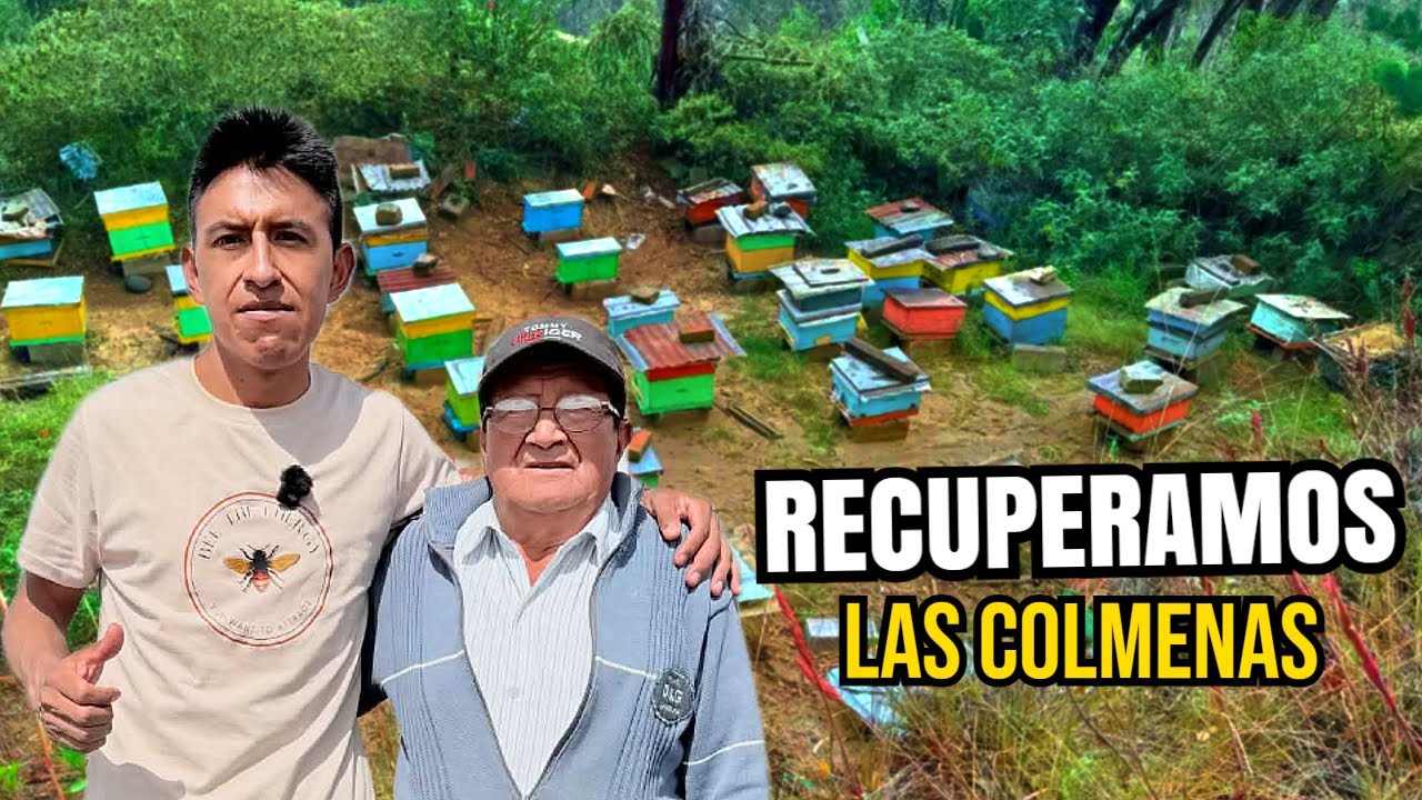 Le mataron sus 28 colmenas… y juntos le devolvimos la esperanza 💛