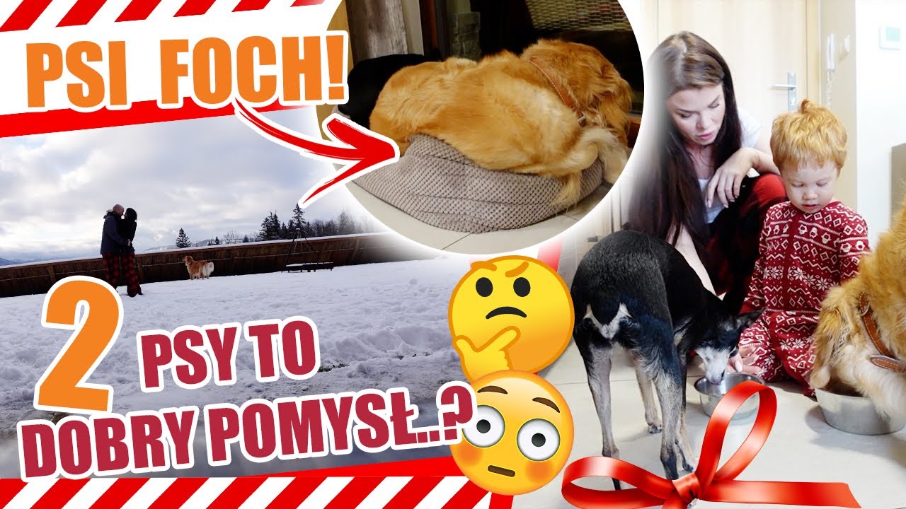 ZNOWU ZATRULIBYŚMY SIĘ W ZAKOPANYM! Ten wyjazd nie DAŁ NAM ODPOCZĄĆ Wracamy.....#331