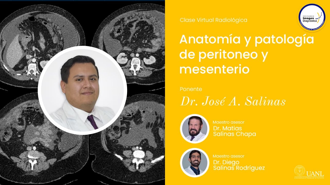 Anatomía y patología de peritoneo y mesenterio