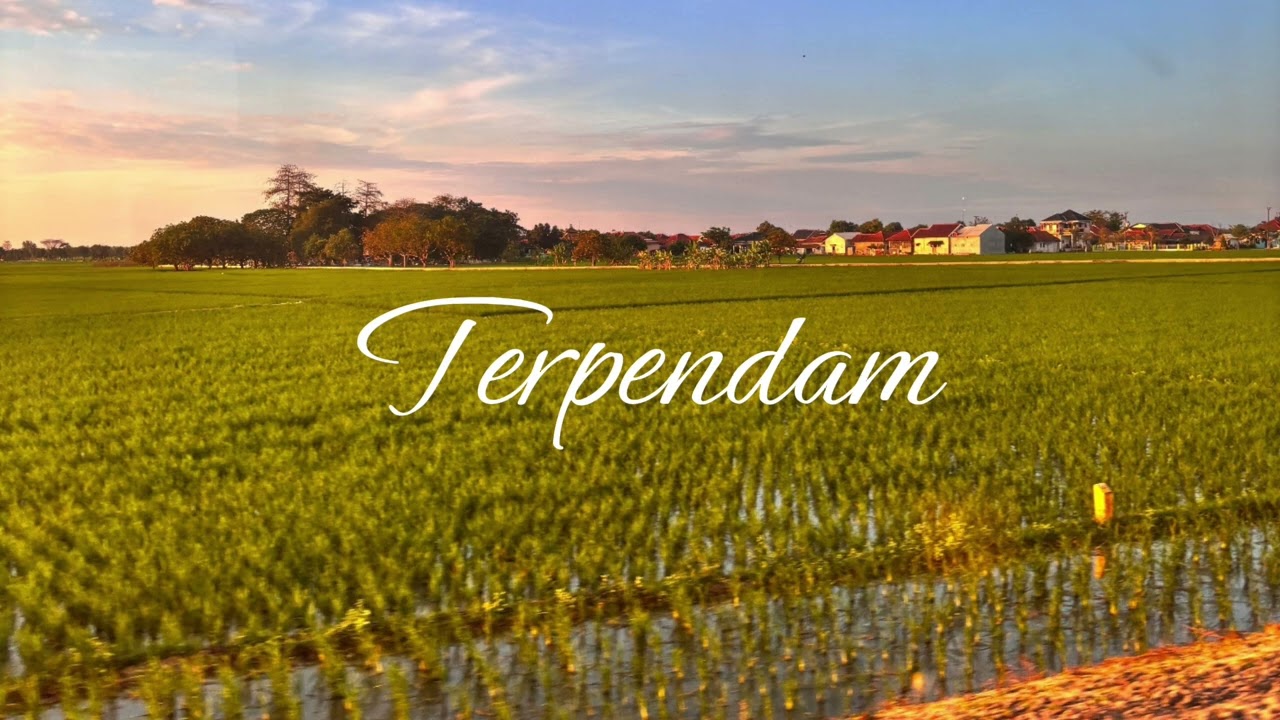 TERPENDAM (Music official) 