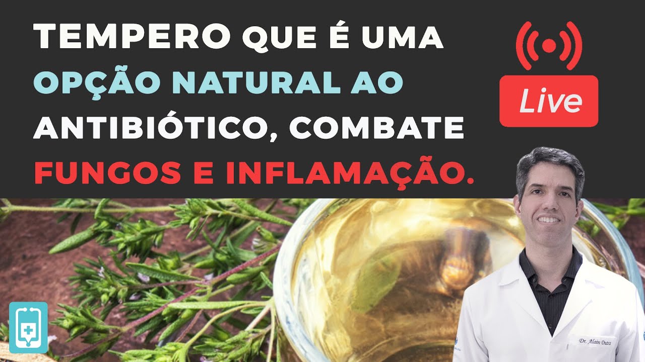 Orégano: Conheça o tempero antifúngico, antibiótico e antiinflamatório