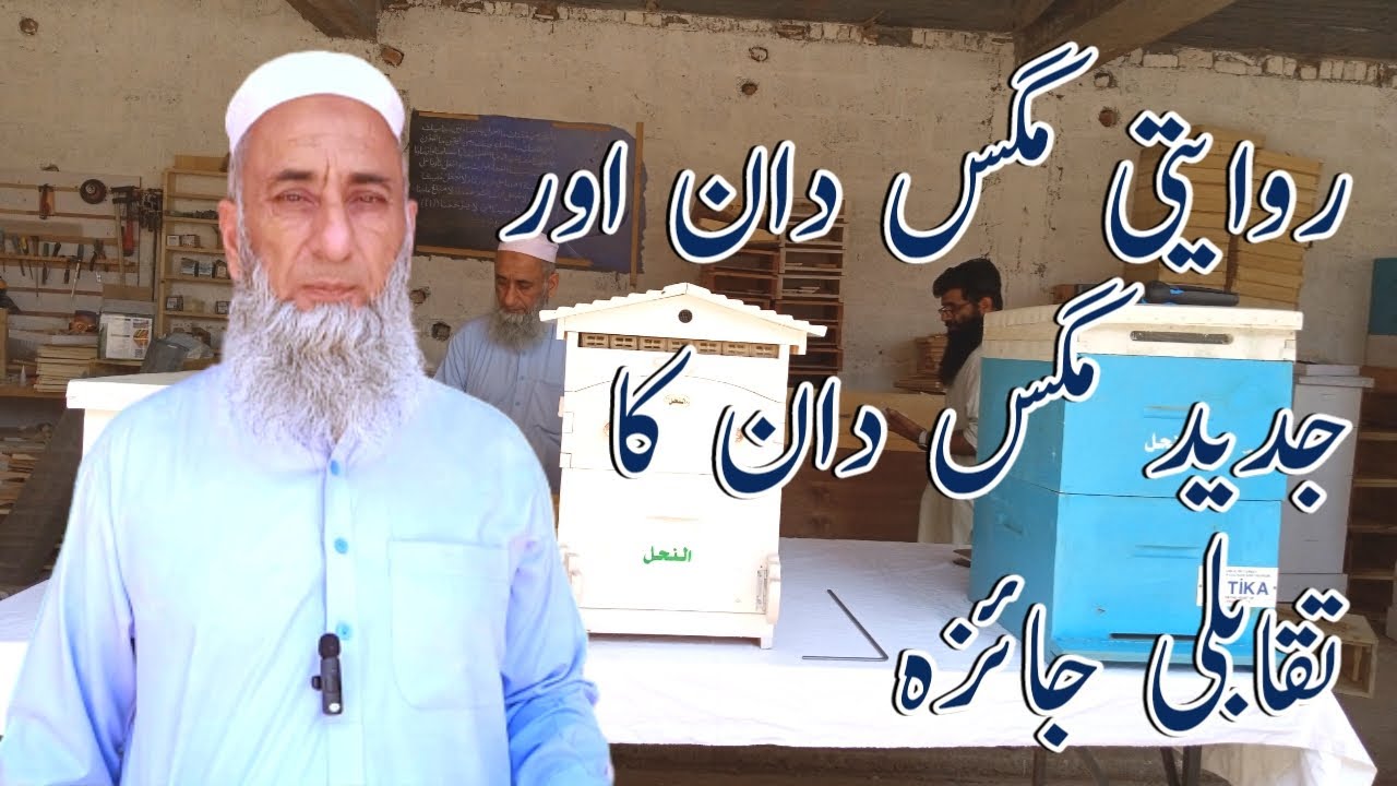 Traditional Bee Hives VS Moderning Bee Hives M Anwar. #beekeeping #honeybeekeeping #manwar
