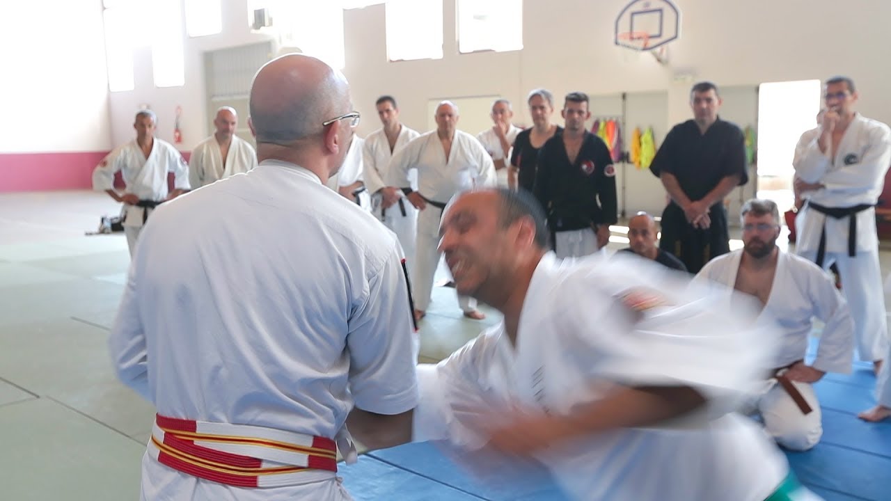 Poids de corps et Kyusho - Serge Rebois