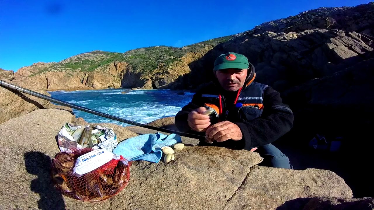 COMO ISCAR AMEIJOA BRANCA PARA  SARGOS.