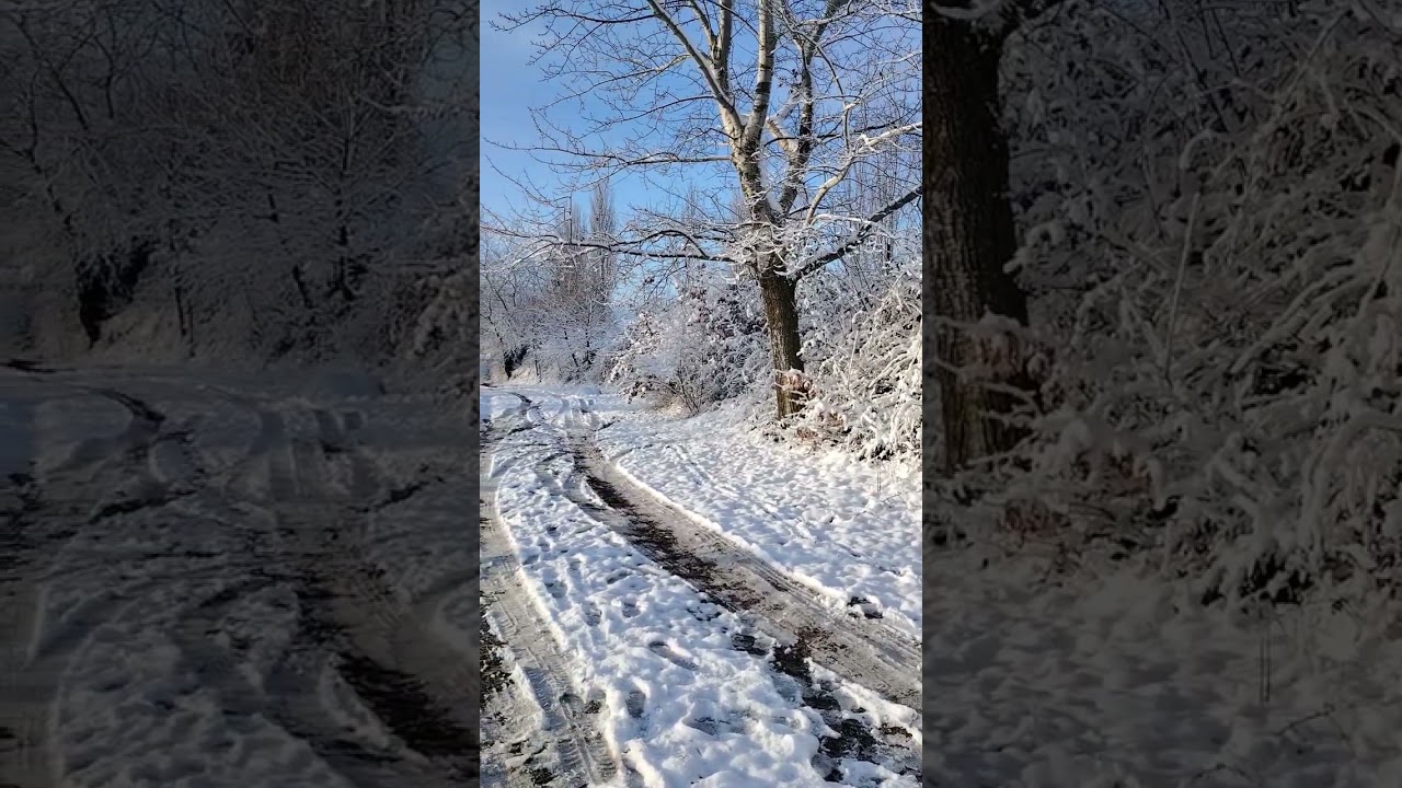Karavanımızın ətrafı qarlı, sehirli bir təbiət. 