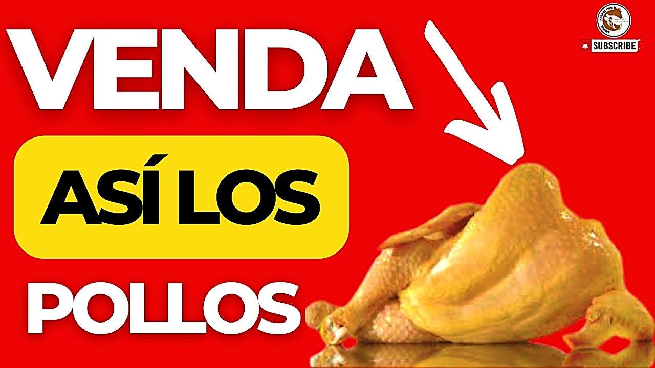 🛒CÓMO SE COMERCIALIZA EL POLLO DE ENGORDE🐔, Y SAQUE POLLOS EN 25 DÍAS RÁPIDO Y SANOS💪