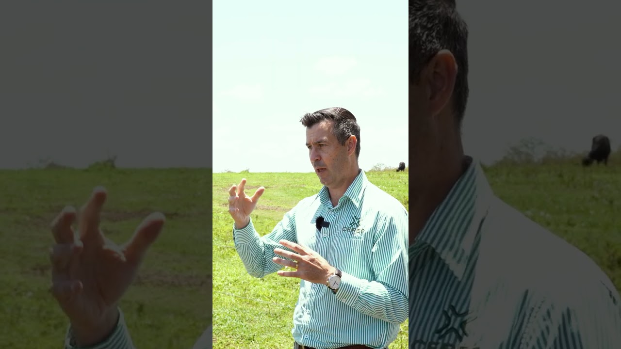 CERES GEN6 - More insight, more impact, more value.