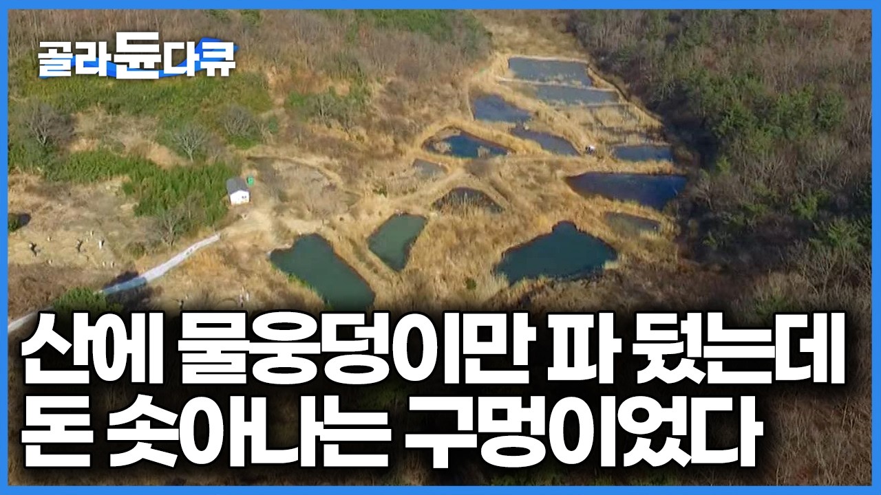 이게 돈 될 거라는 걸 알고 나서 1만 평의 땅에 물웅덩이만 팠다, 전기 한 줄 안 쓰고 양식이라니 금보다 비싼 토하 새우 양식｜한국기행｜#골라듄다큐