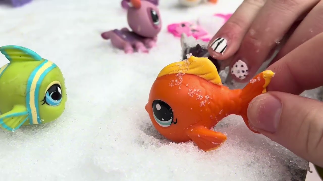 Snow day!