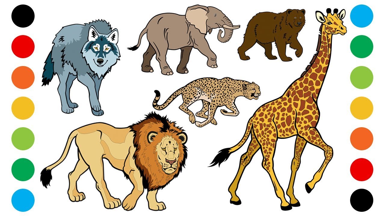 Wild Animals with Sounds Part1 Coloring Pages for Kids | Digital Coloring