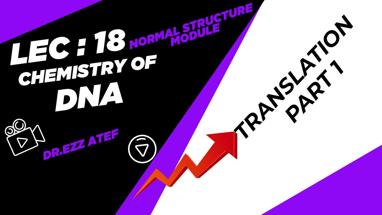 Biochemistry - 1st year - (18) Translation part 1