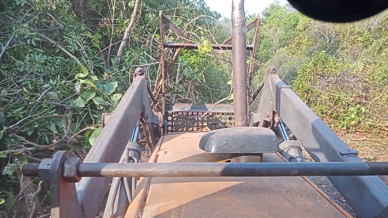 Trator Valtra BM 125 desmatando capoeira grossa com lâmina nova