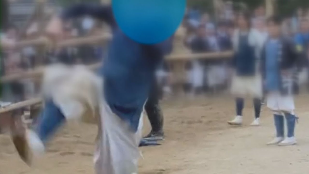 伝統の祭りで走る馬に男性が跳び蹴り　SNSで動画が拡散し｢動物虐待だ」と苦情が殺到
