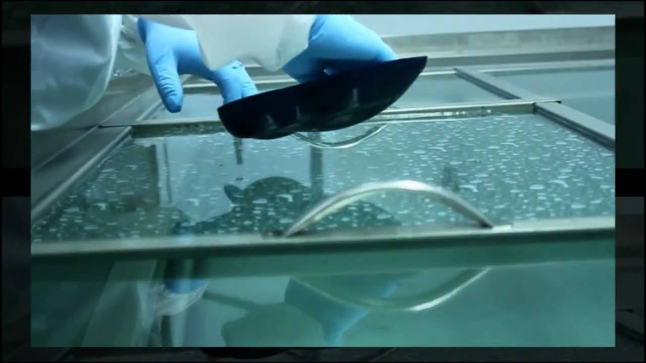 Hot Hydrografix Water Transfer Printing