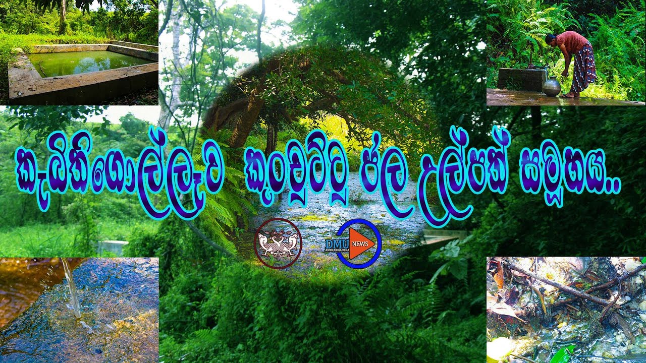 කුංචුට්ටු ජල උල්පත් සමූහය.. (Kabithigollawa Kunchuttu water springs..)