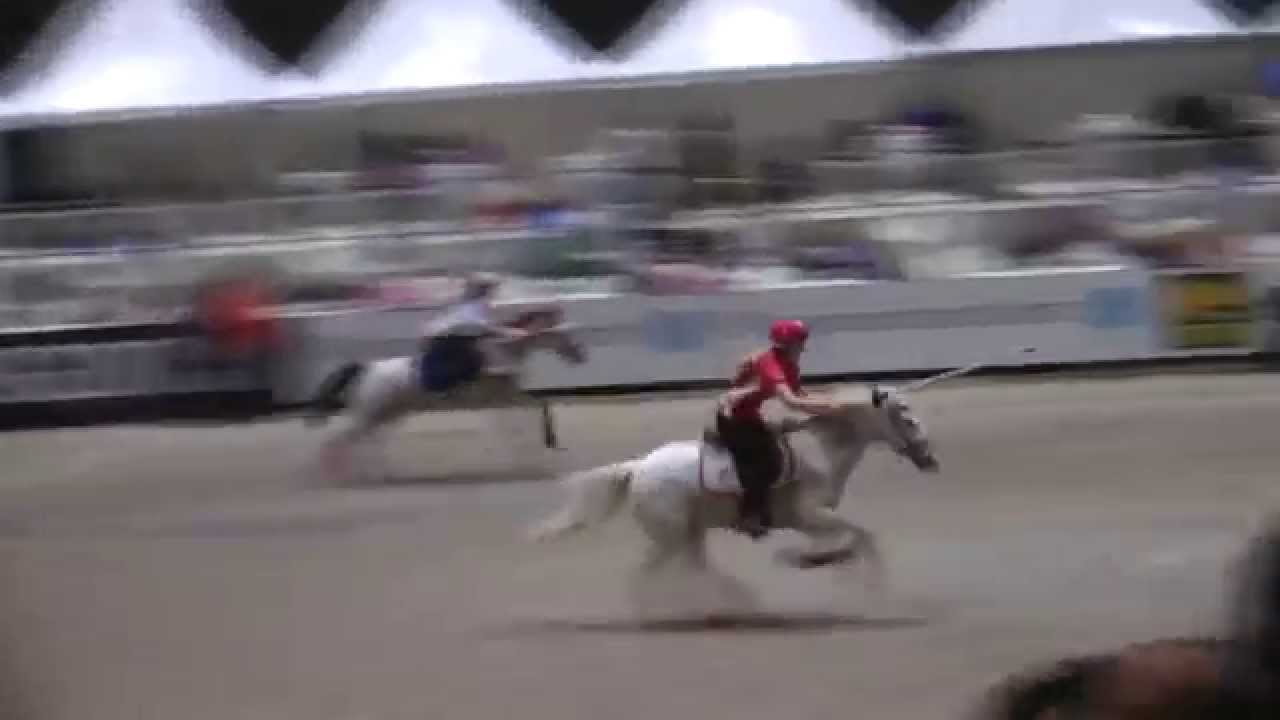 Oslo Horse Show 2014 - Mounted Games- Norske laget