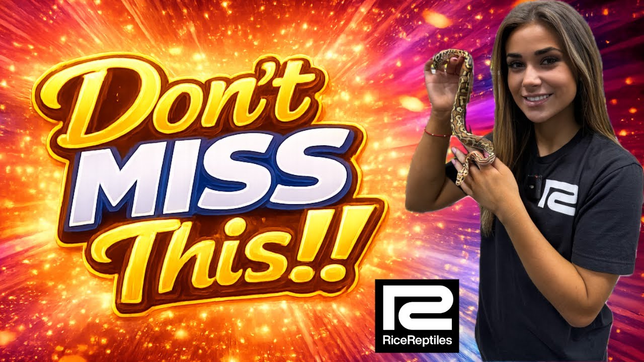 Don't Miss This!
