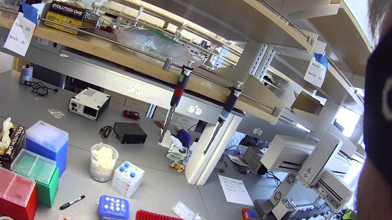 Setting up a PCR reaction
