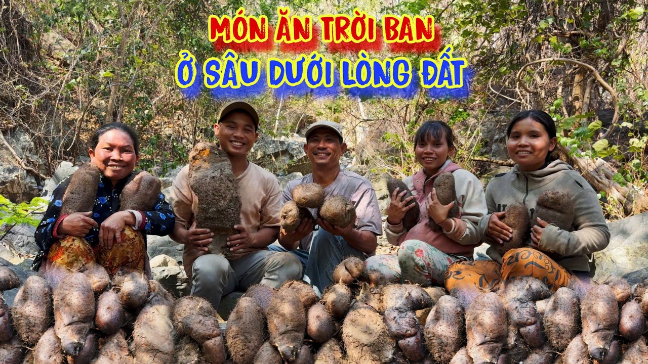 BÀ CON nghèo bật khóc nức nở, bới đất kiếm TIỀN TRIỆU - tập 1687