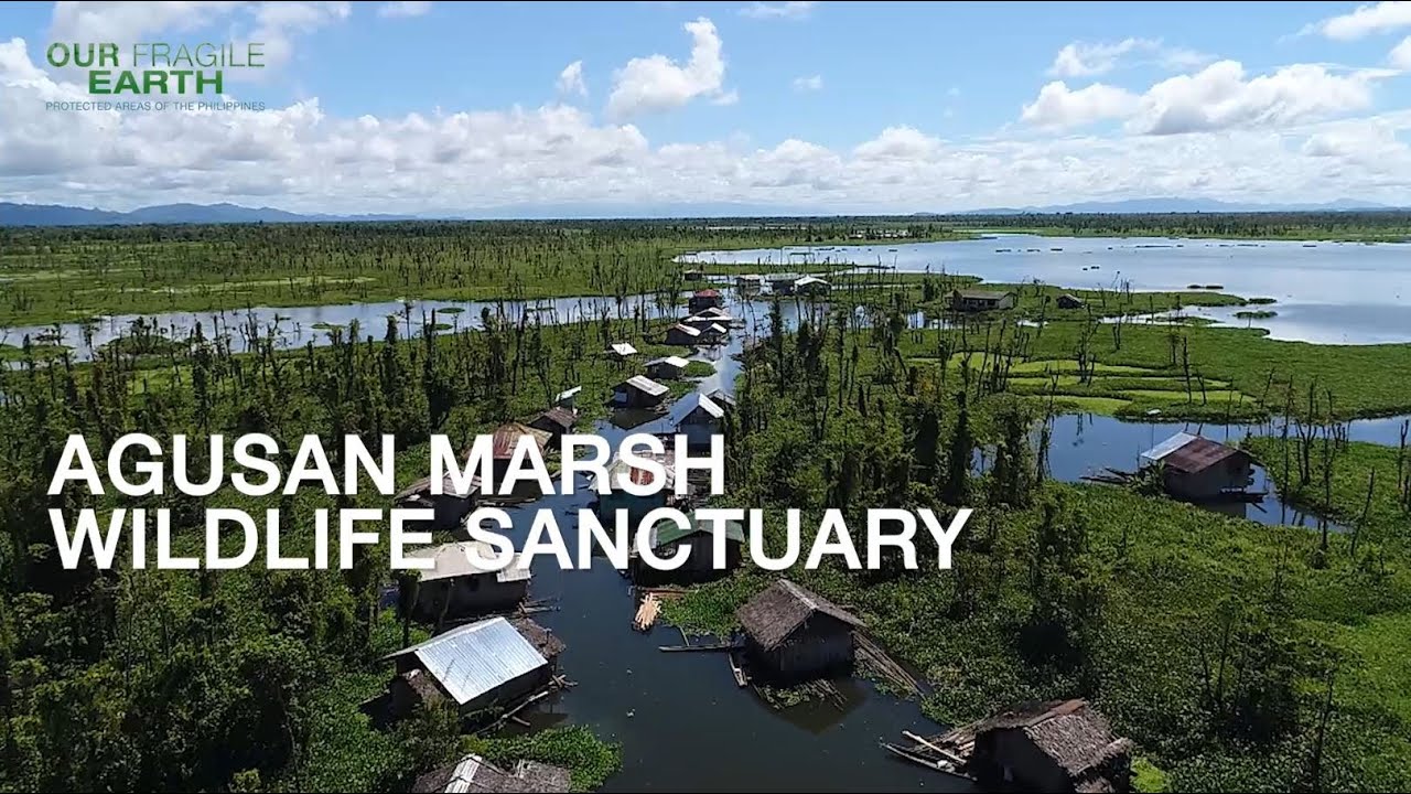 Our Fragile Earth S2E8 Agusan Marsh Wildlife Sanctuary & Mabini Protected Landscape and Seascape