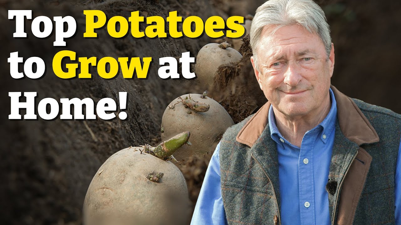 The Secret to Perfect Early Potatoes – Start Planting Now!