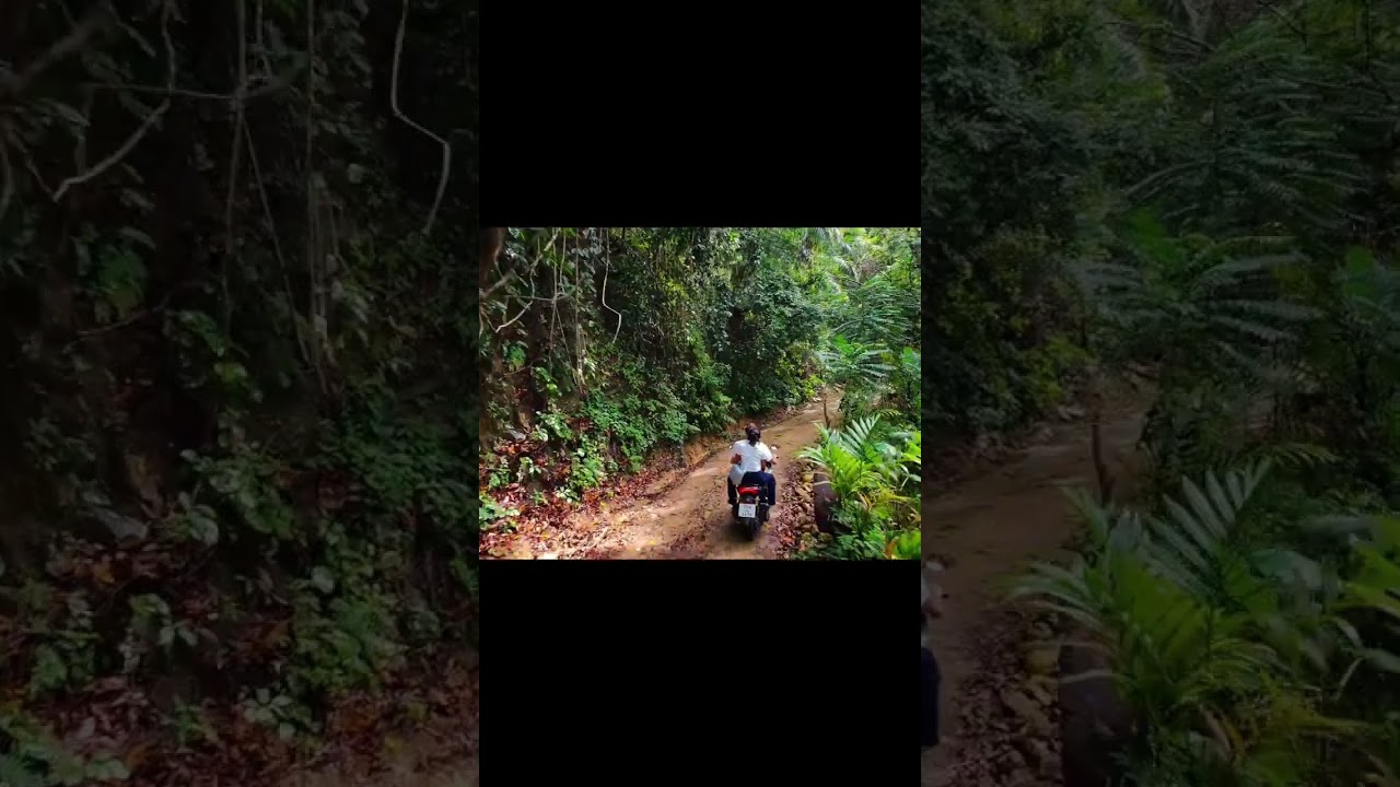 Khao Khai Nui Mopedtour #KhaoLakAusfluege #Khaolak #Thailand #Mopedtour #aufeigenefaust