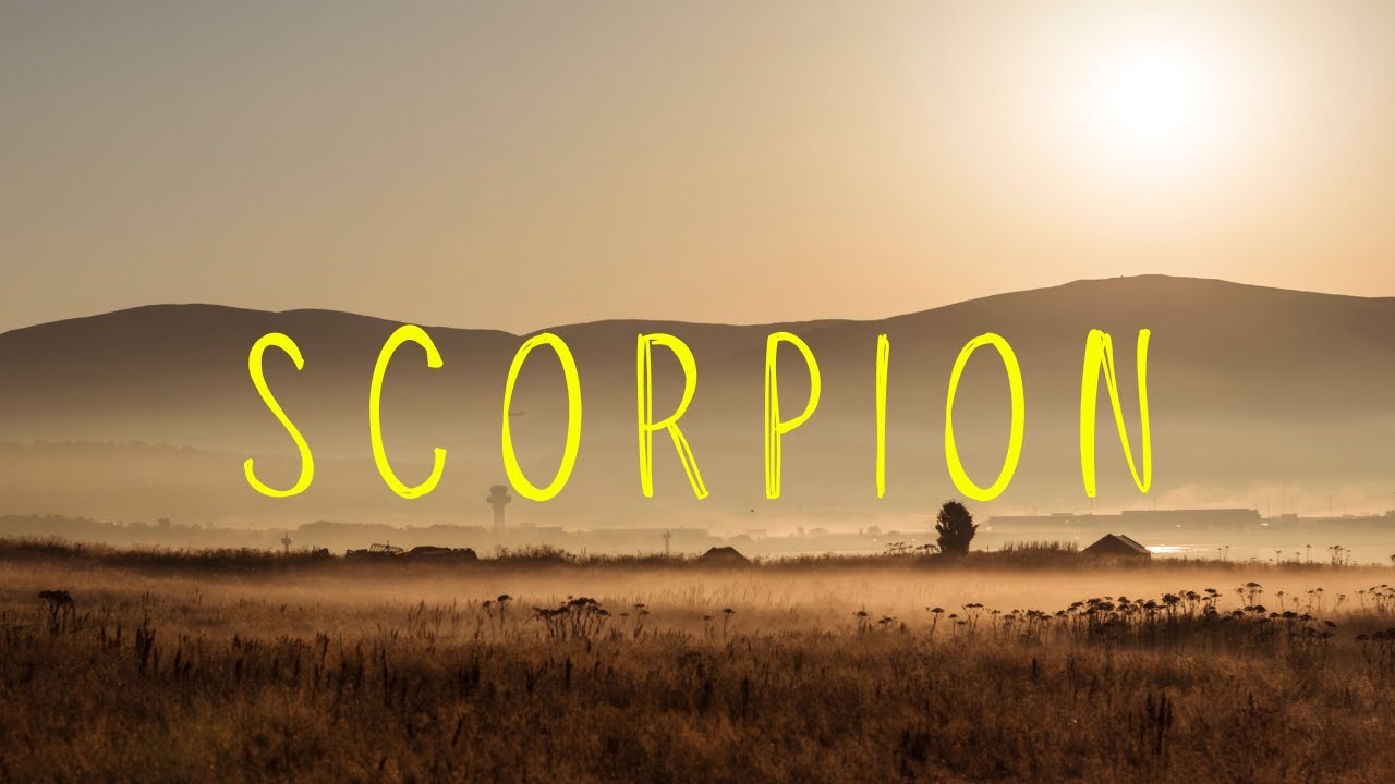 SCORPION 💬🤯 Quelqu’un cherche une excuse pour vous contacter… ça va mal finir 😱