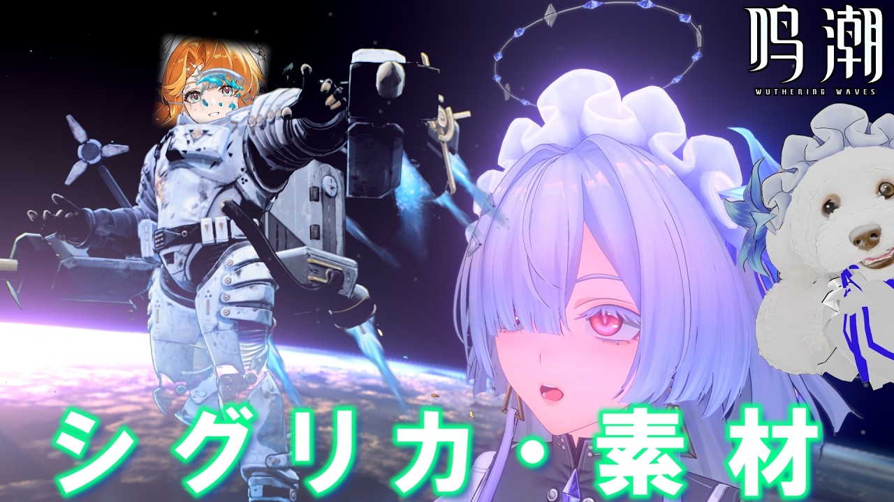 【#鳴潮】おシグ準備・コス４探索者狩り　 / 限定無凸　質問・コメント歓迎（無凸の範囲） #Wutheringwaves #Wuwa #ホロタクティクス