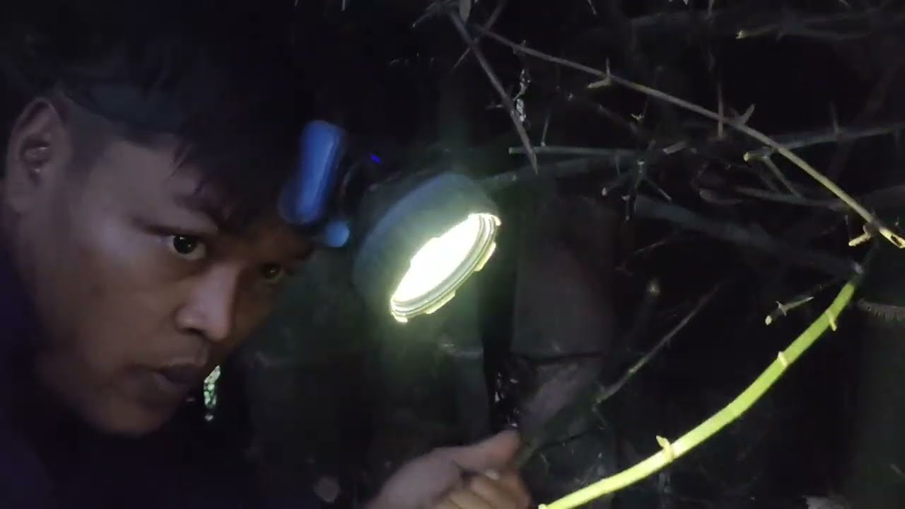 MBOLANG BAMBU UNIK DAPAT BAMBU UNIK DAMPIT 