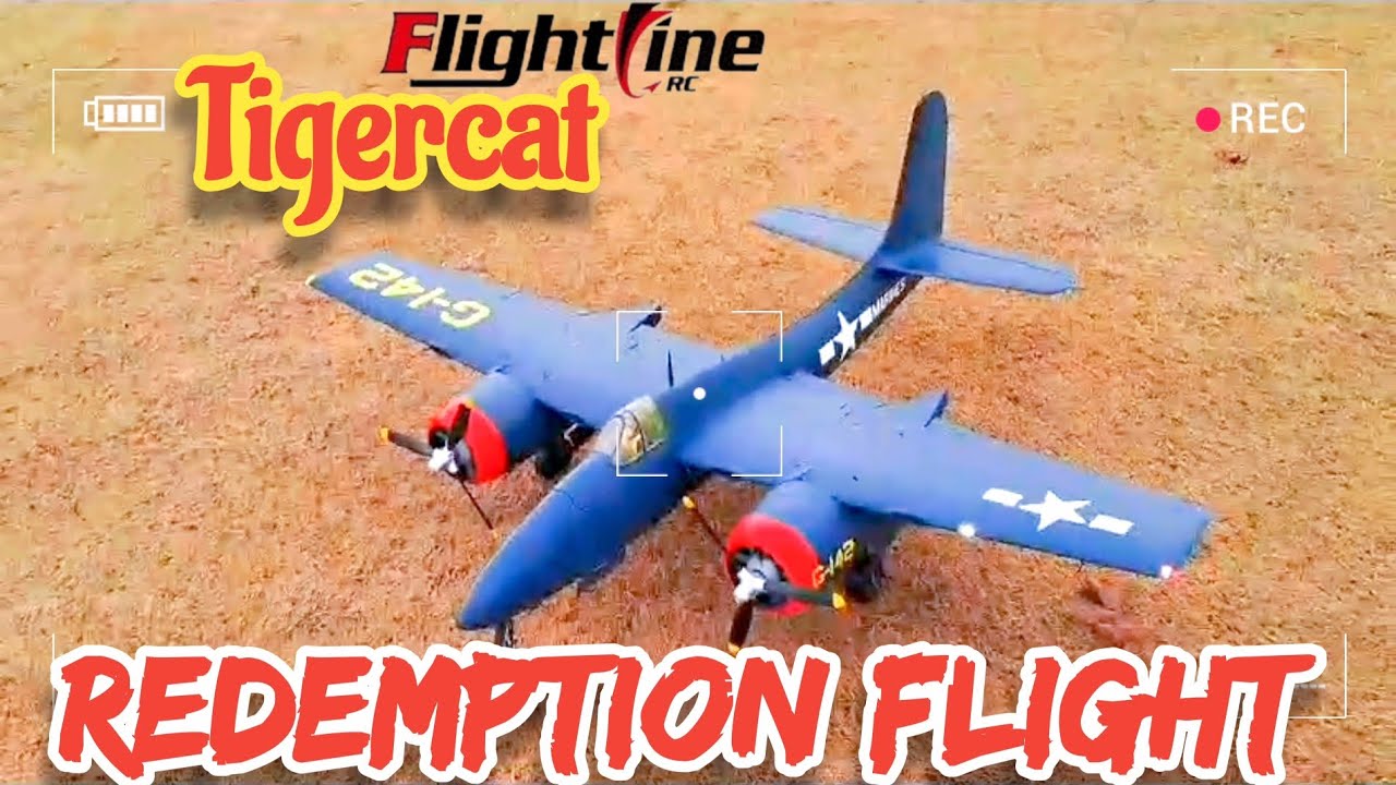 Re-maiden Flight of the Tigercat #rcplane #aviation #warbirds #maidenflight