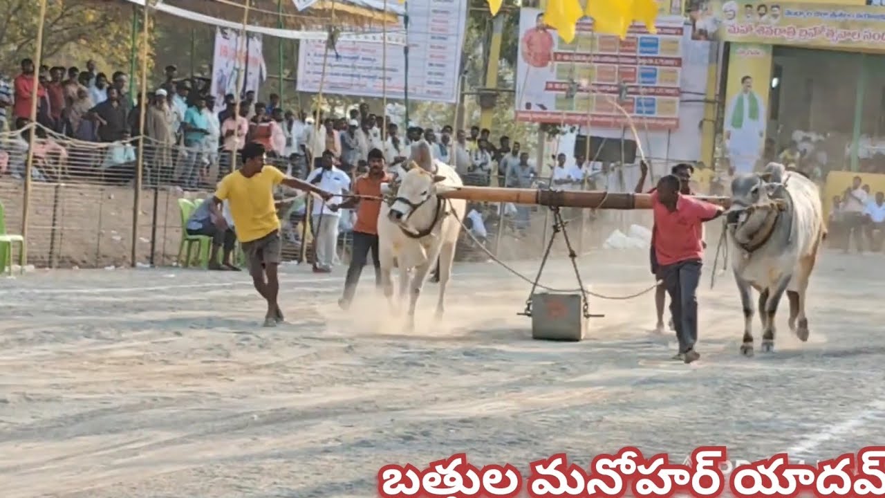 మహానంది బత్తుల మనోహర్ యాదవ్ దొర్నిపాడు 