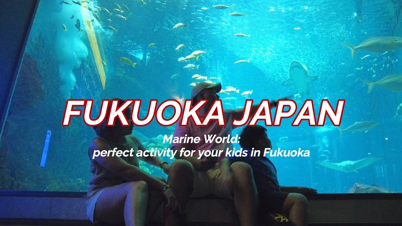 JAPAN VLOG: THINGS TO DO FOR KIDS | MARINE WORLD UMINONAKAMICHI