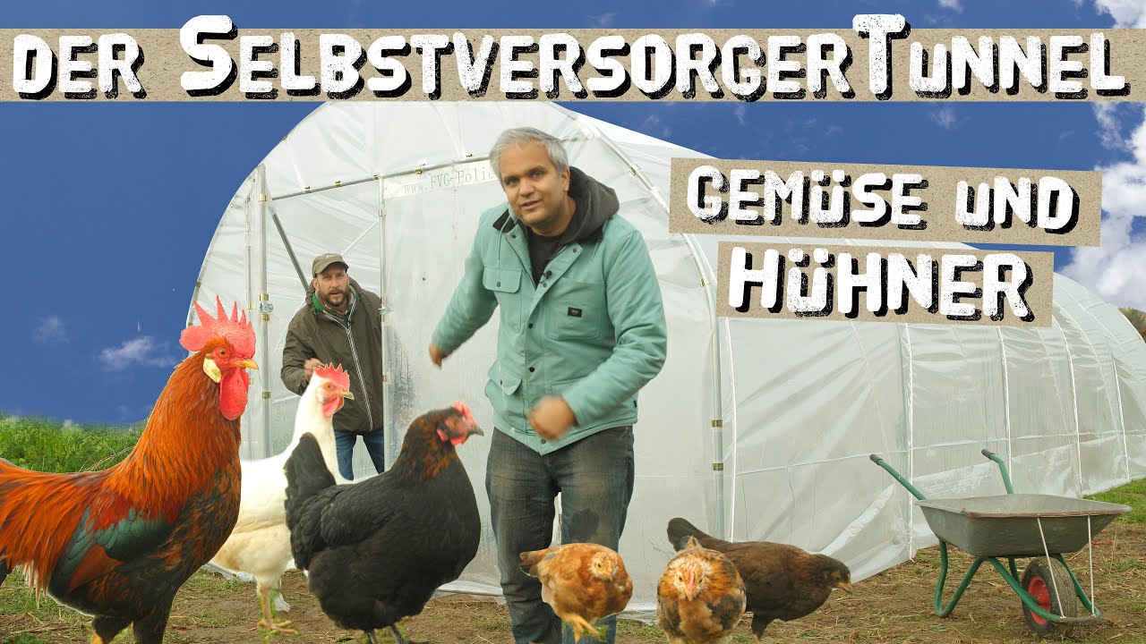 Gemüseanbau und glückliche Hühner im Folientunnel für Selbstversorger - auch bei Geflügelpest 2020