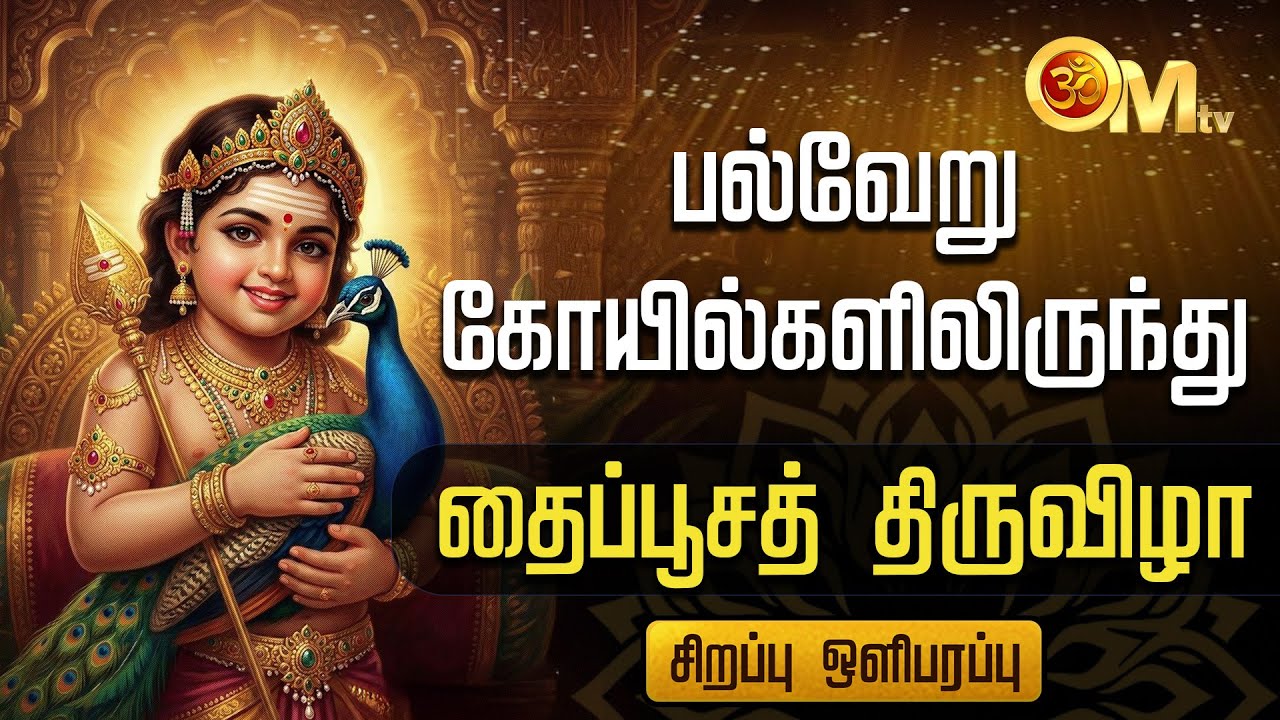 பல்வேறு கோயில்களிலிருந்து தைப்பூசத் திருவிழா | Thaipusam 2026 | murugan | Abishegam | OM TV