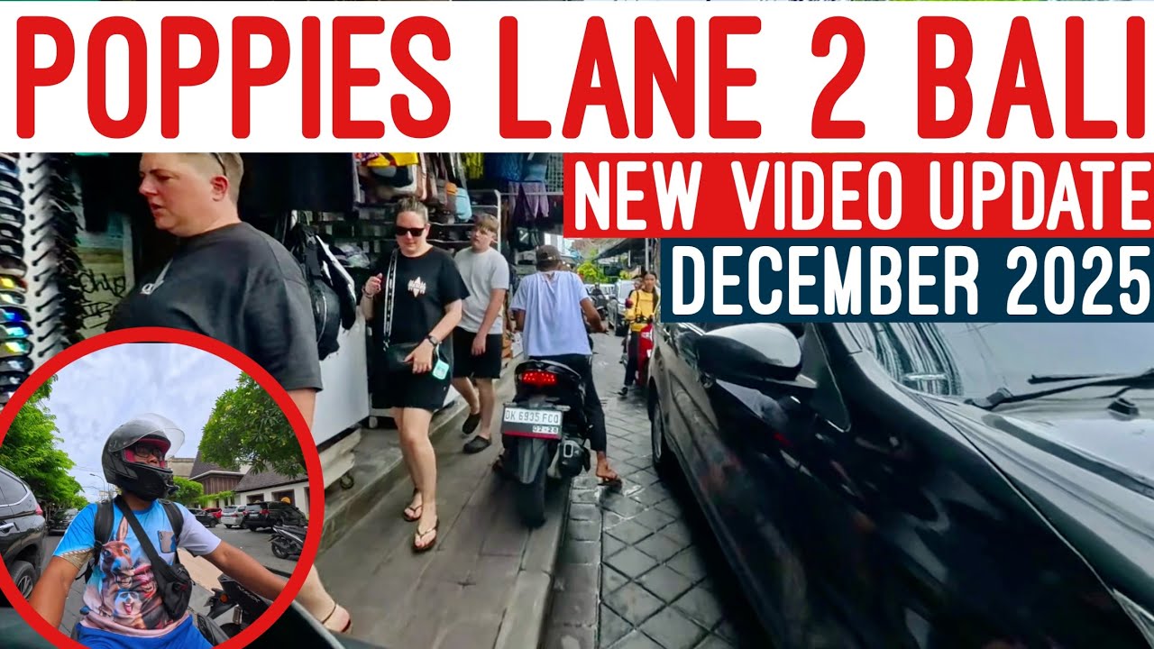 Full new video update from Poppies Lane 2, 26.12.2025