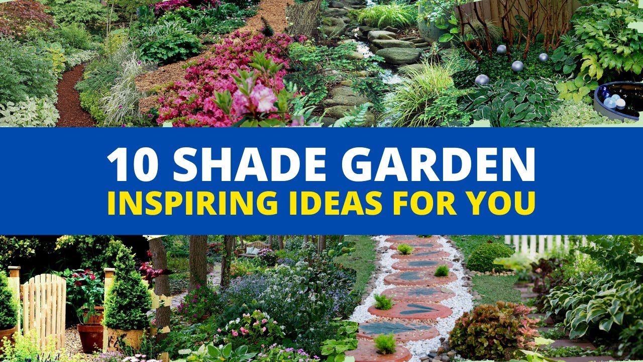 SHADE GARDEN! - 10 Shady Garden Ideas YOU NEED TO KNOW! 🌻