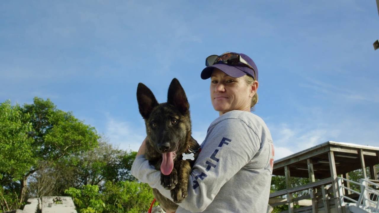 Superpower Dogs Story: Cat and Halo