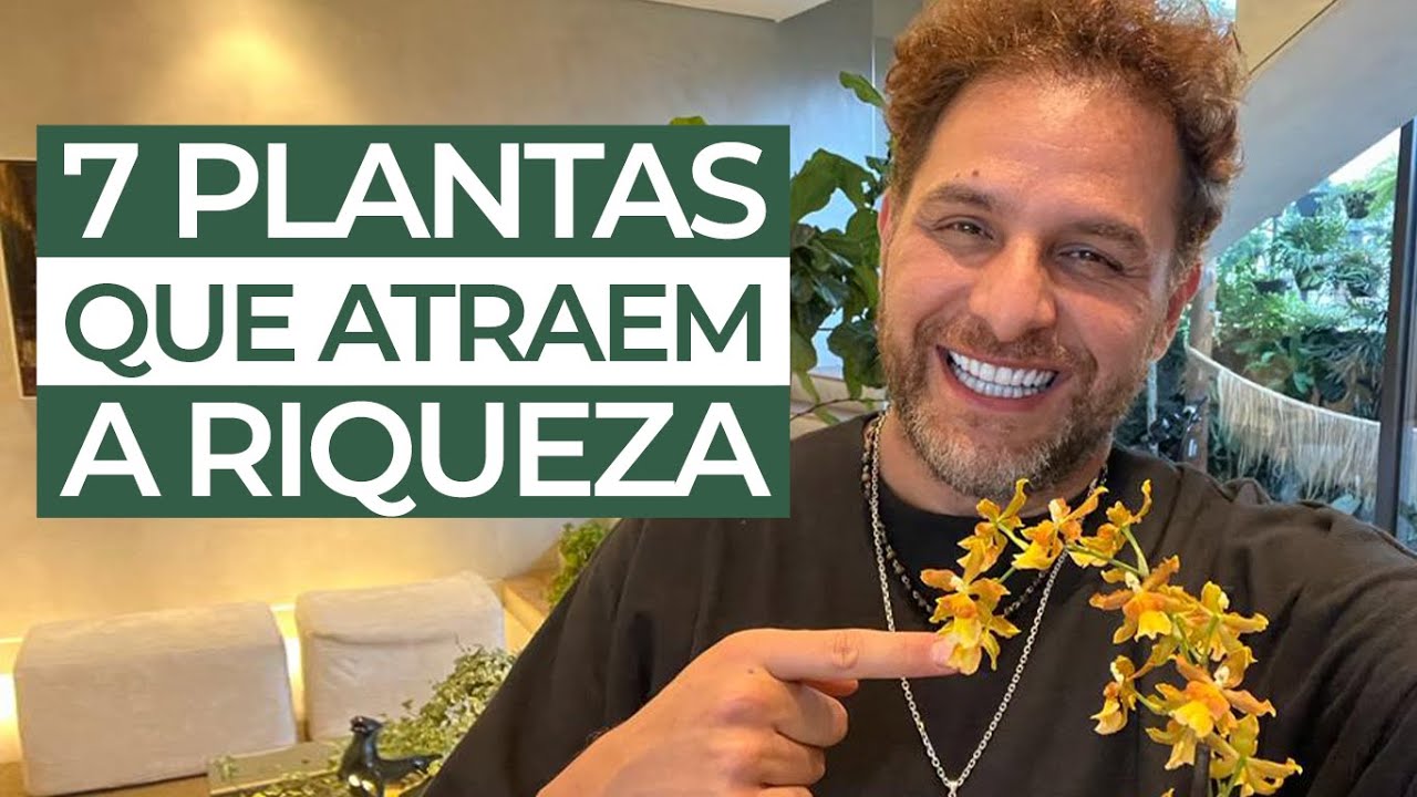 7 PLANTAS QUE ATRAEM A RIQUEZA | Daniel Atalla