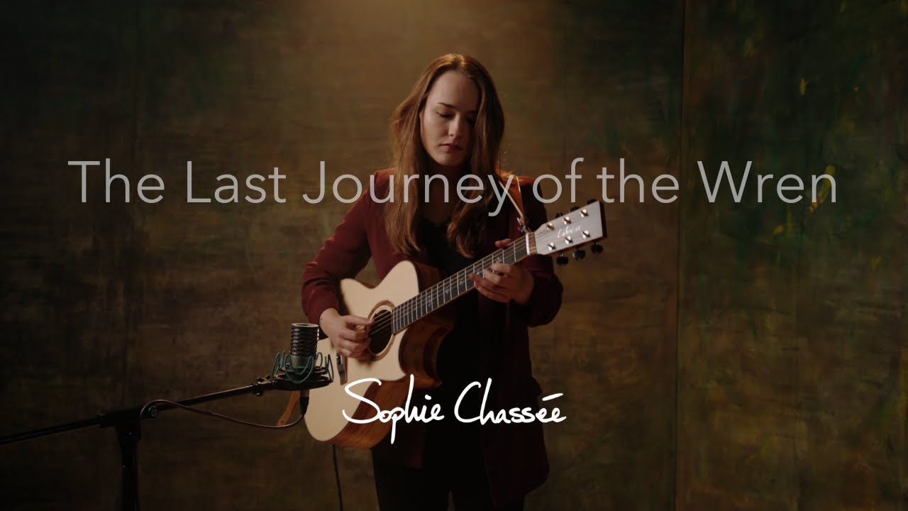The Last Journey of the Wren - Sophie Chassée (Livesession)