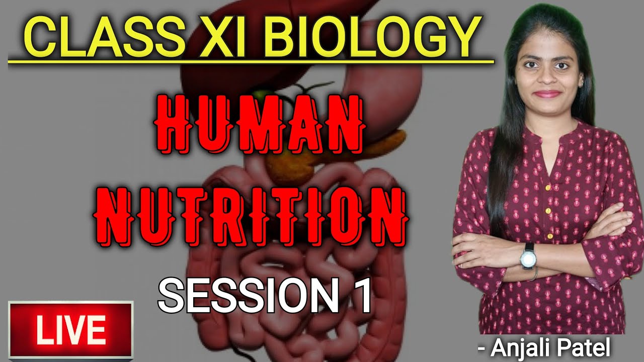 Class 11th Biology - Human nutrition - Introduction - Session 1 - Anjali Patel
