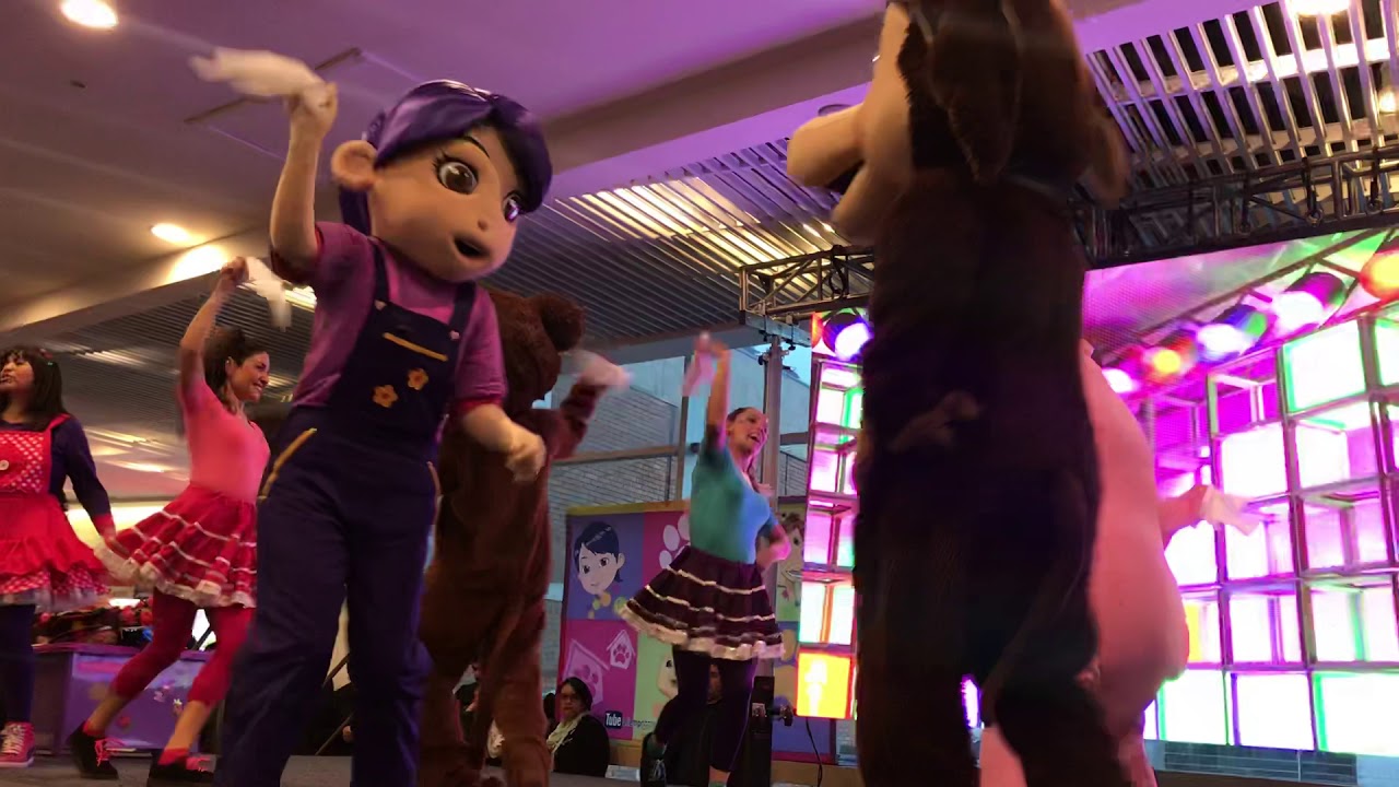 Perro chocolo En Viña