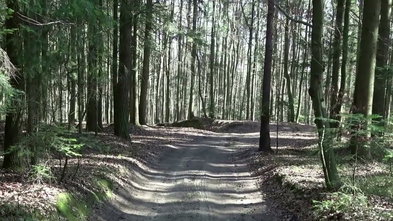 Gilowa Góra