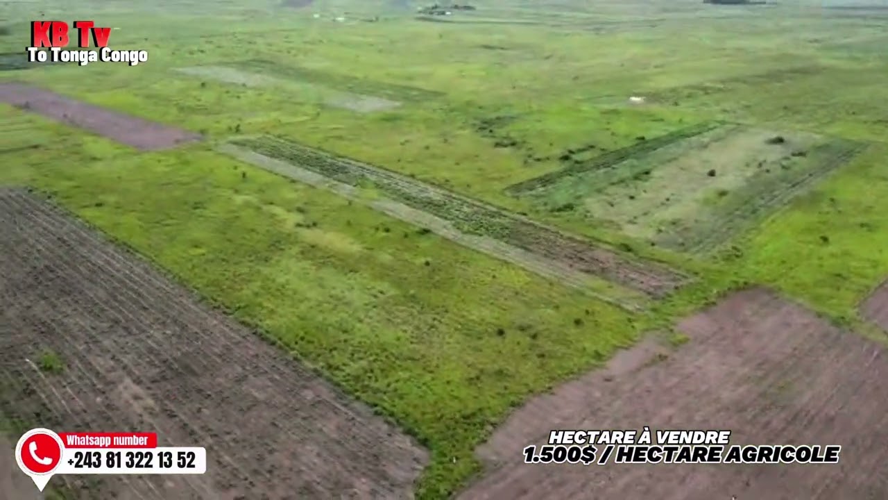 06/2/2026 SOMBA HECTARE AGRICOLE PONA BA PROJET NAYO PEMBENI YA CENTRE VILLE 45 minutes na aéroport 