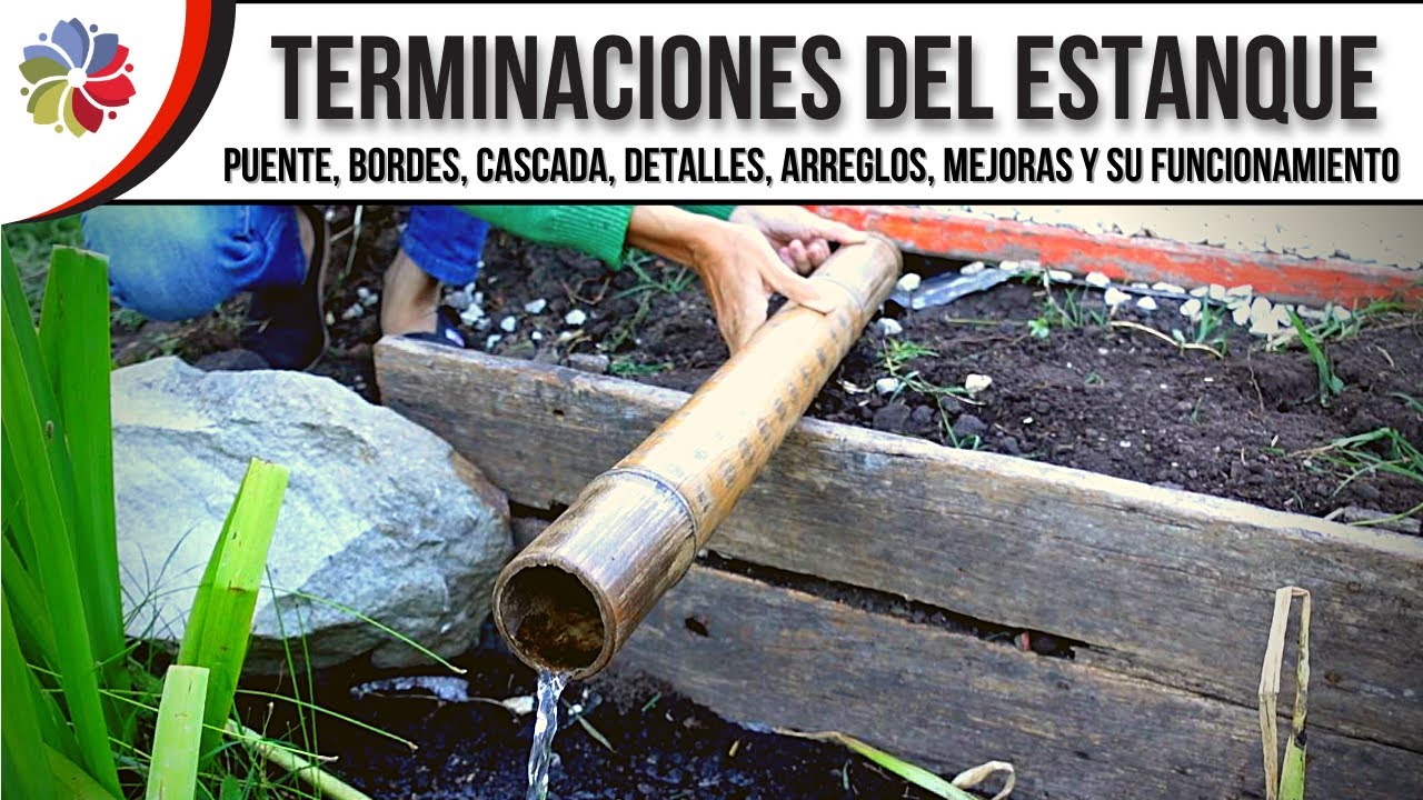 😁 ¡TERMINAMOS el ESTANQUE y BIOFILTRO! ¡Los peces, sapos, plantas y nosotros felices!